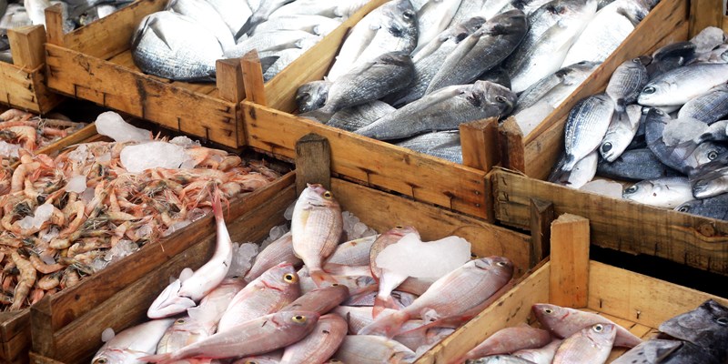 Fresh fishes in a market